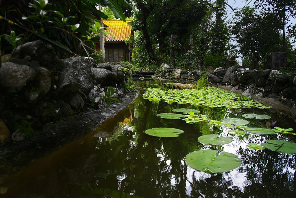 Areeya Phuree Resort Thaton Mae Ai Esterno foto